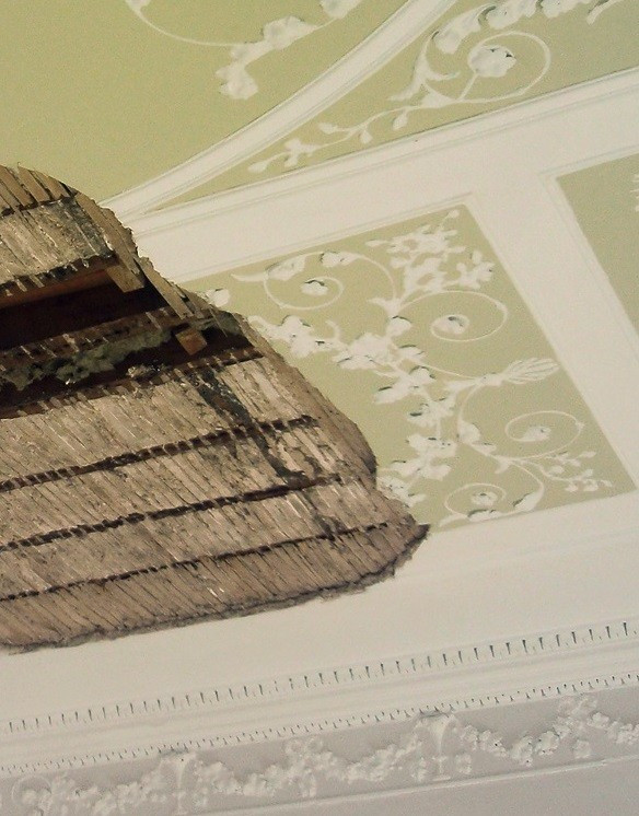 Repair challenge presented by failure of decorative plaster ceiling 